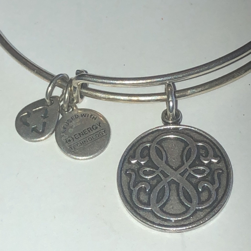 Alex And Ani Silver Tone Eternity Infinity Boho Charm Bracelet
